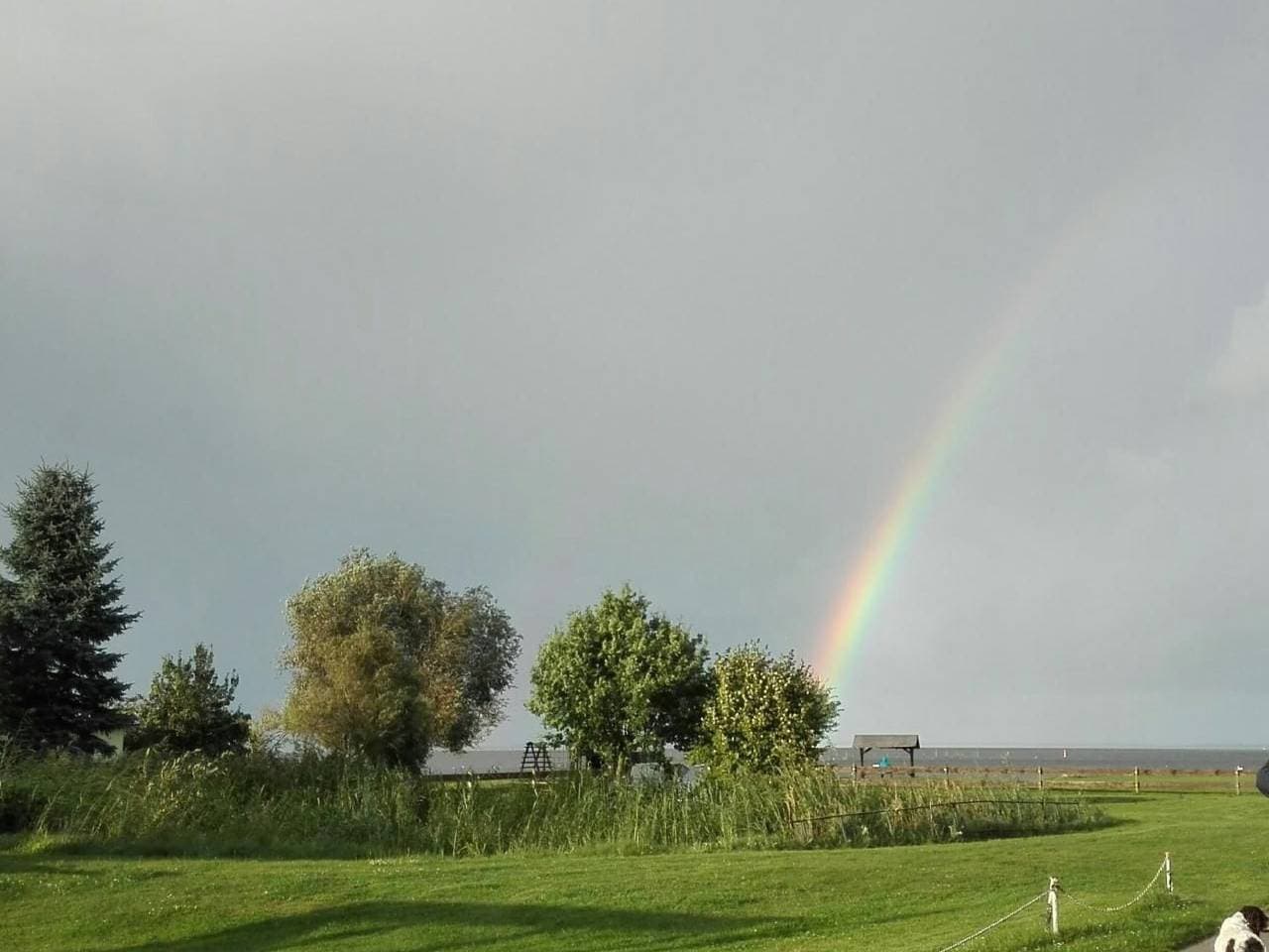 Foto 10 von 29: In Altwarp mit Botanischem Garten
