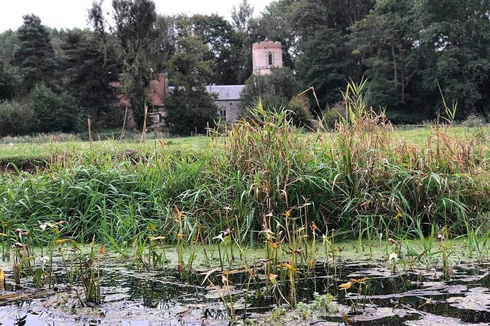 Foto 7 von 30: Riverside Rückzugsort mit Blick auf das atemberaubende Waveney Valley - Angeln und Kajakfahren