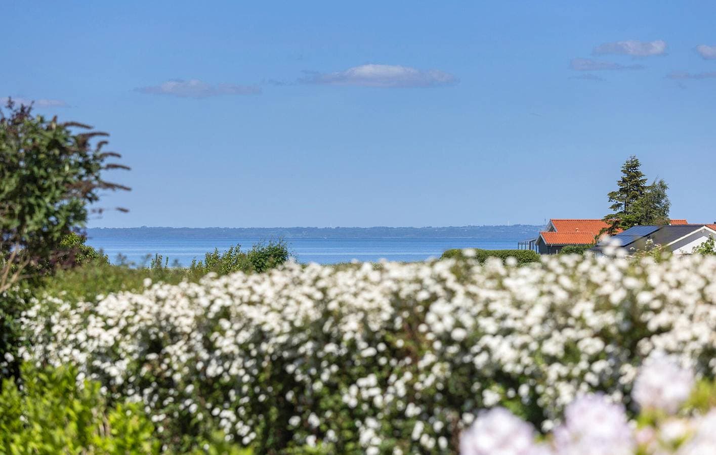 Foto 3 von 17: Ferienhaus für 4 Personen mit Garten
