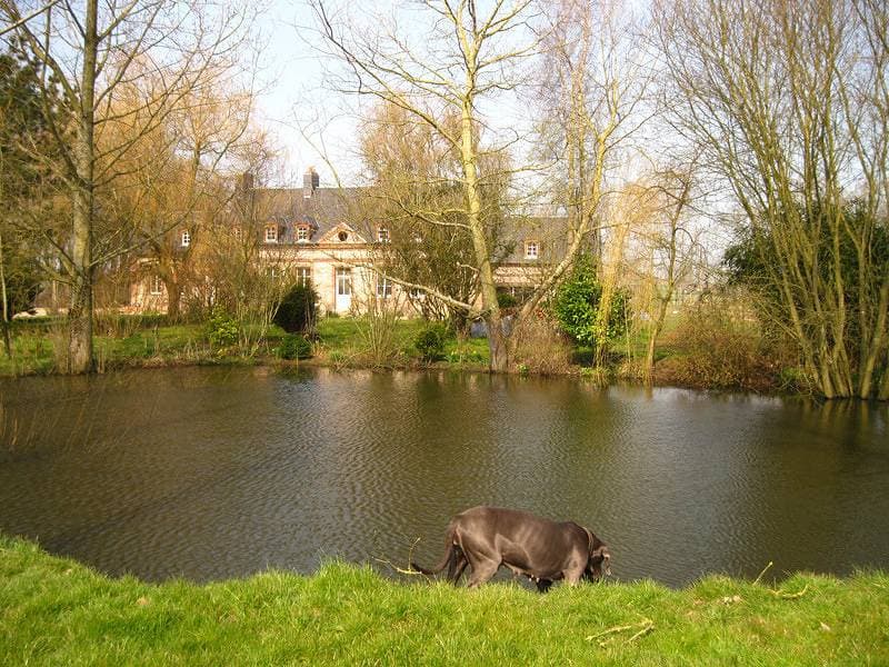 Foto 11 von 22: Gîtes de France® - Manoir de Briquedalles