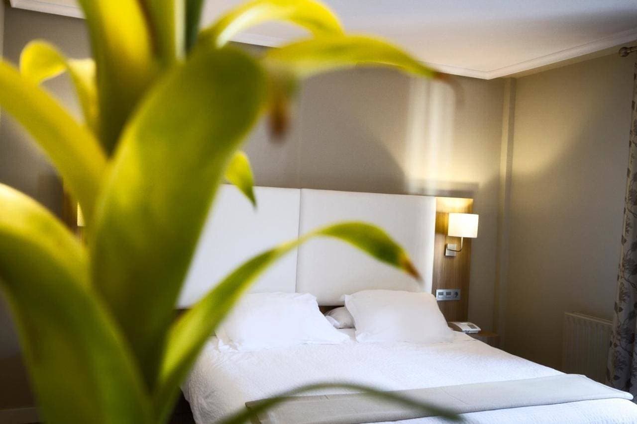 Hotel Los Lagos Nature 1