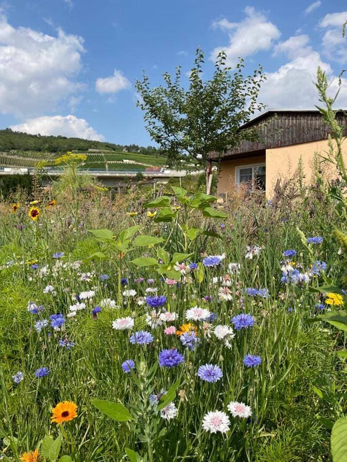 Ferienhaus Gutedel 1