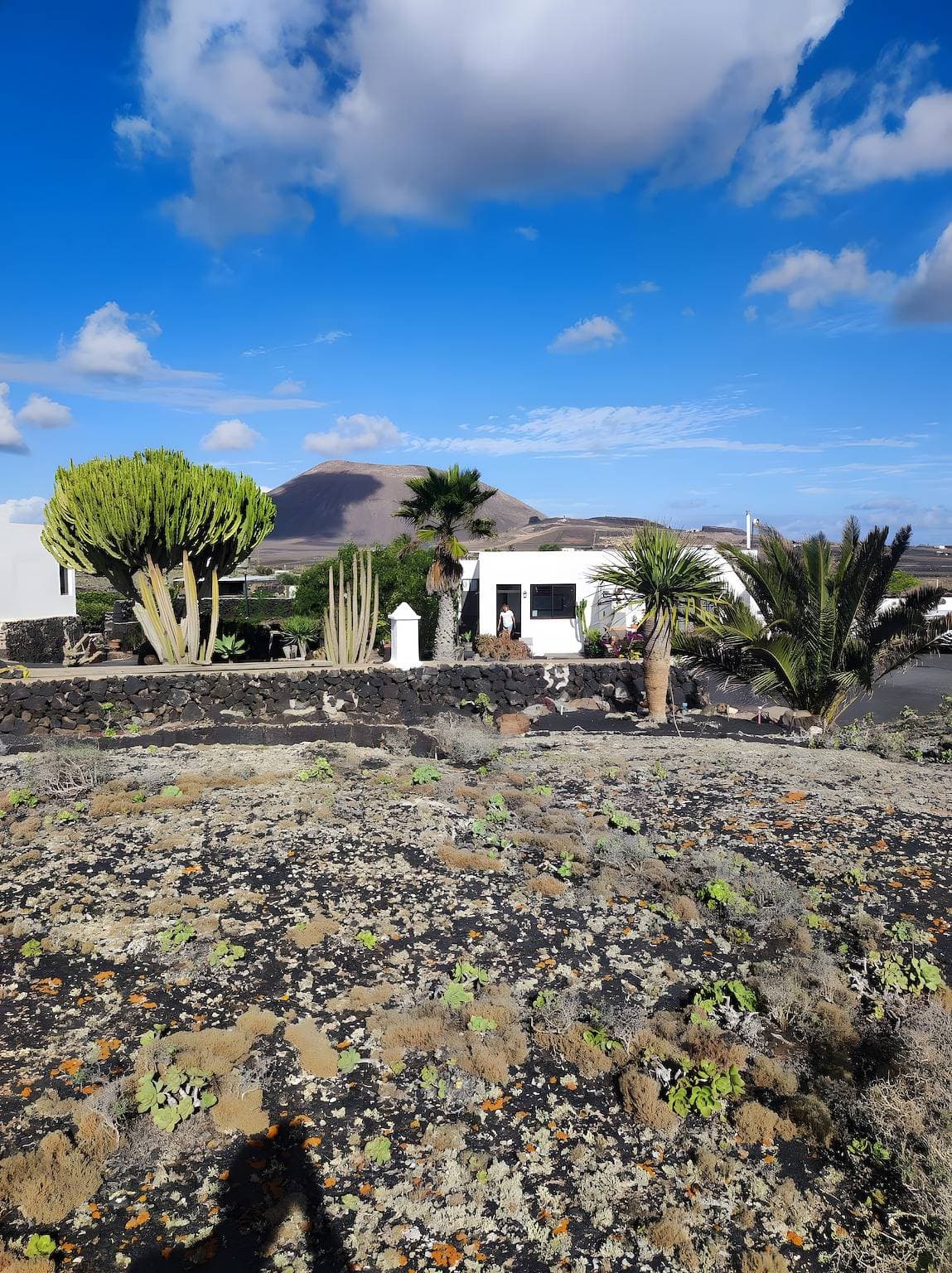 Volcanic Central 1