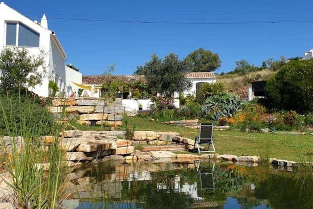 Lemontree house set in the countryside. 1