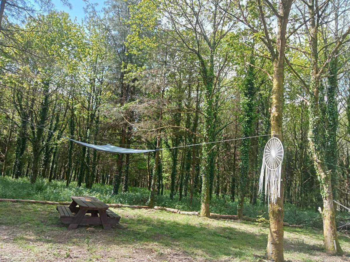 Foto 4 von 8: Tent