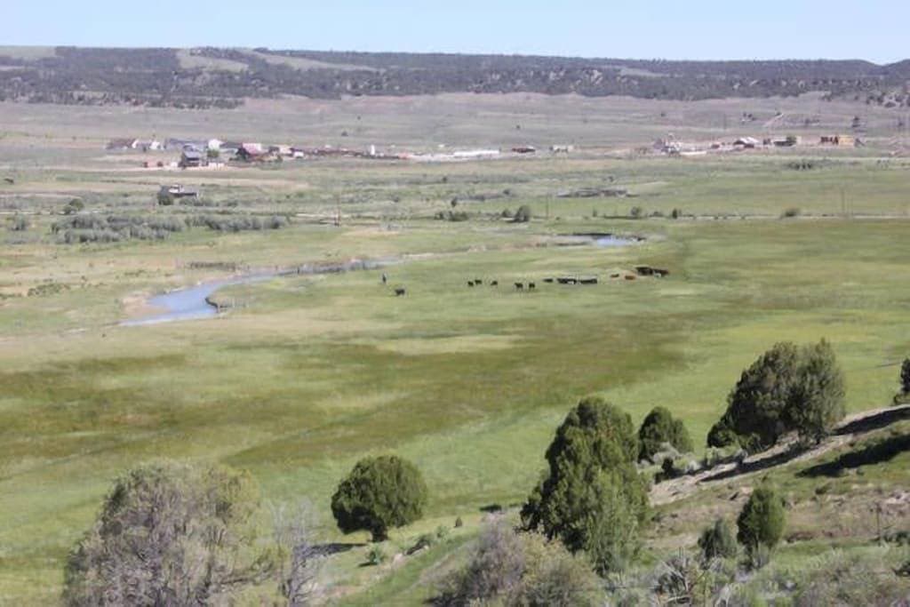 Blockhaus auf 280 Morgen Sevier River Ranch - 2 Einzelbetten 1