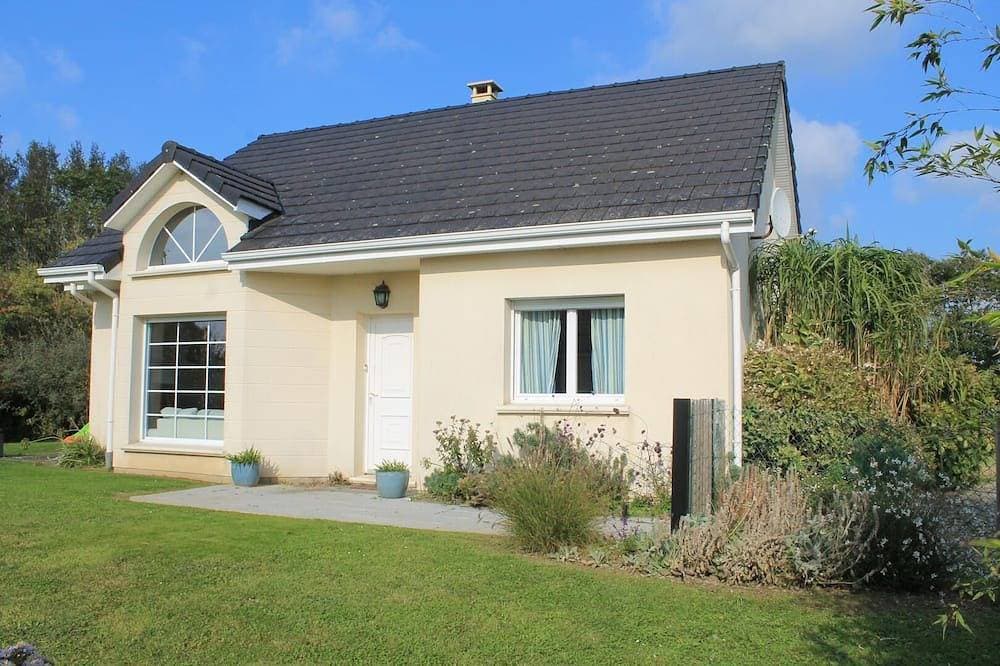 Agapanthe - St Leonard 1