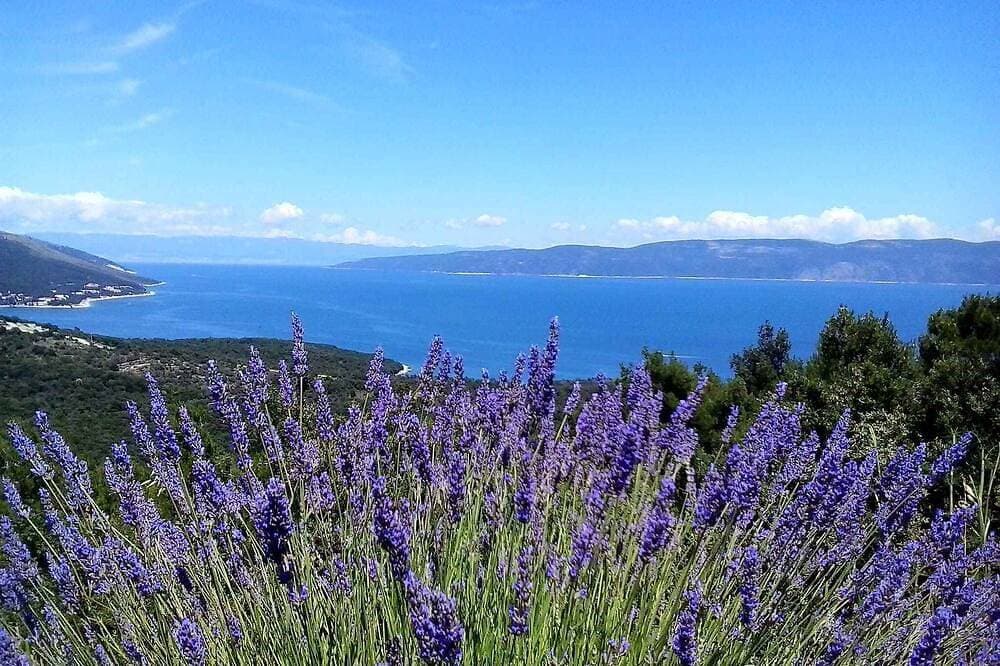 Foto 13 von 30: Ferienwohnung mit Ausblick zum Meer
