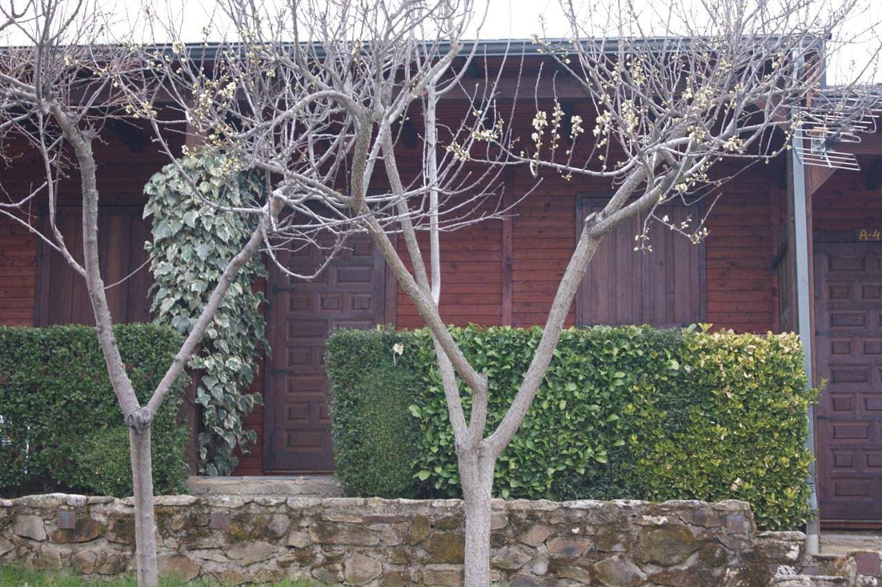Foto 9 von 11: Bungalow
