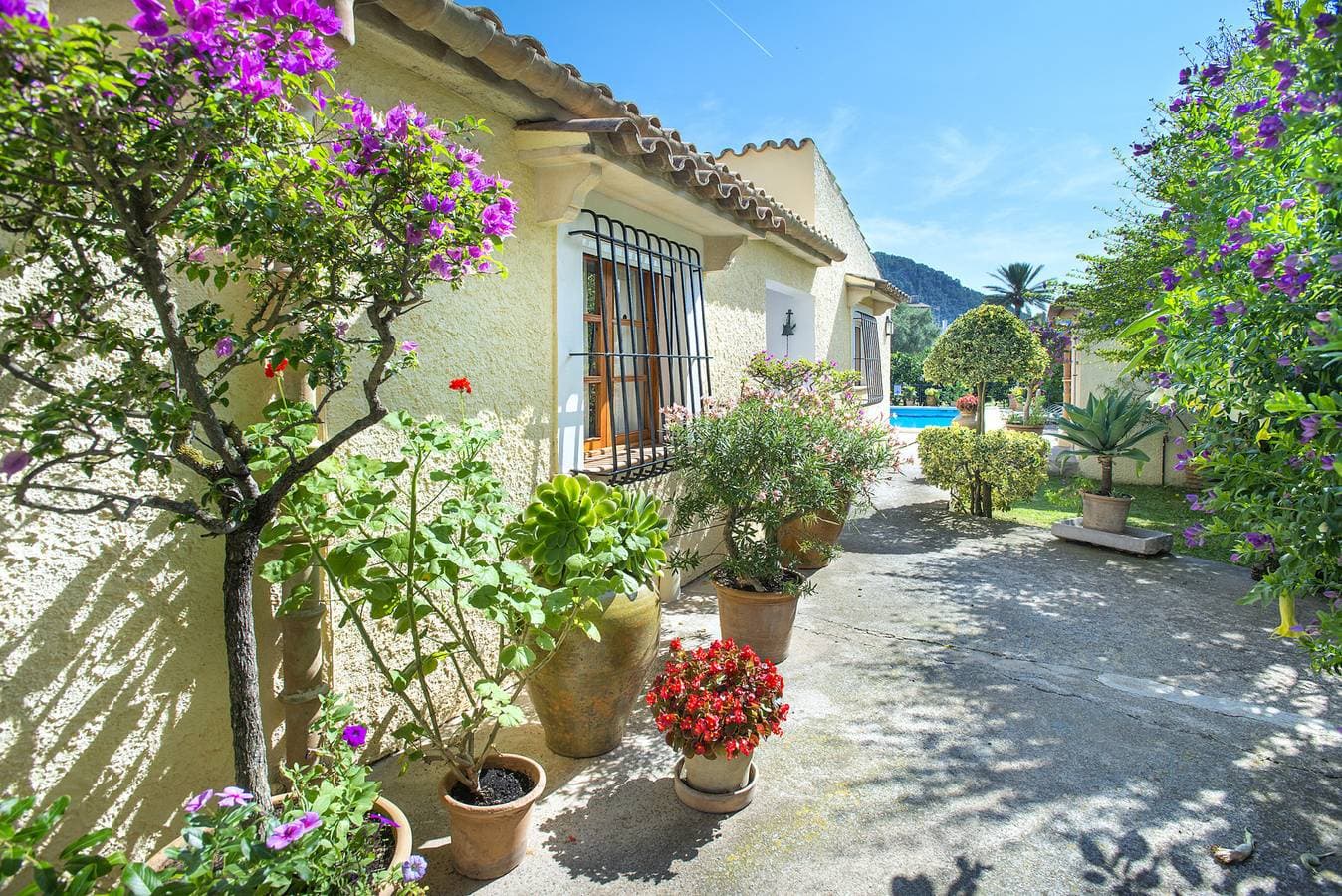 Foto 12 von 43: Finca Mateu - 5 Min Zu Fuss Zur Altstadt