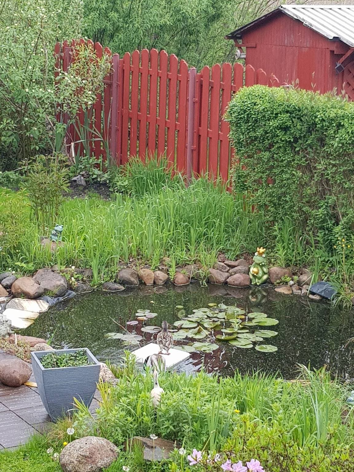 Foto 12 von 14: Bungalow 'Urgemütliches Am See' mit privater Terrasse und privatem Garten