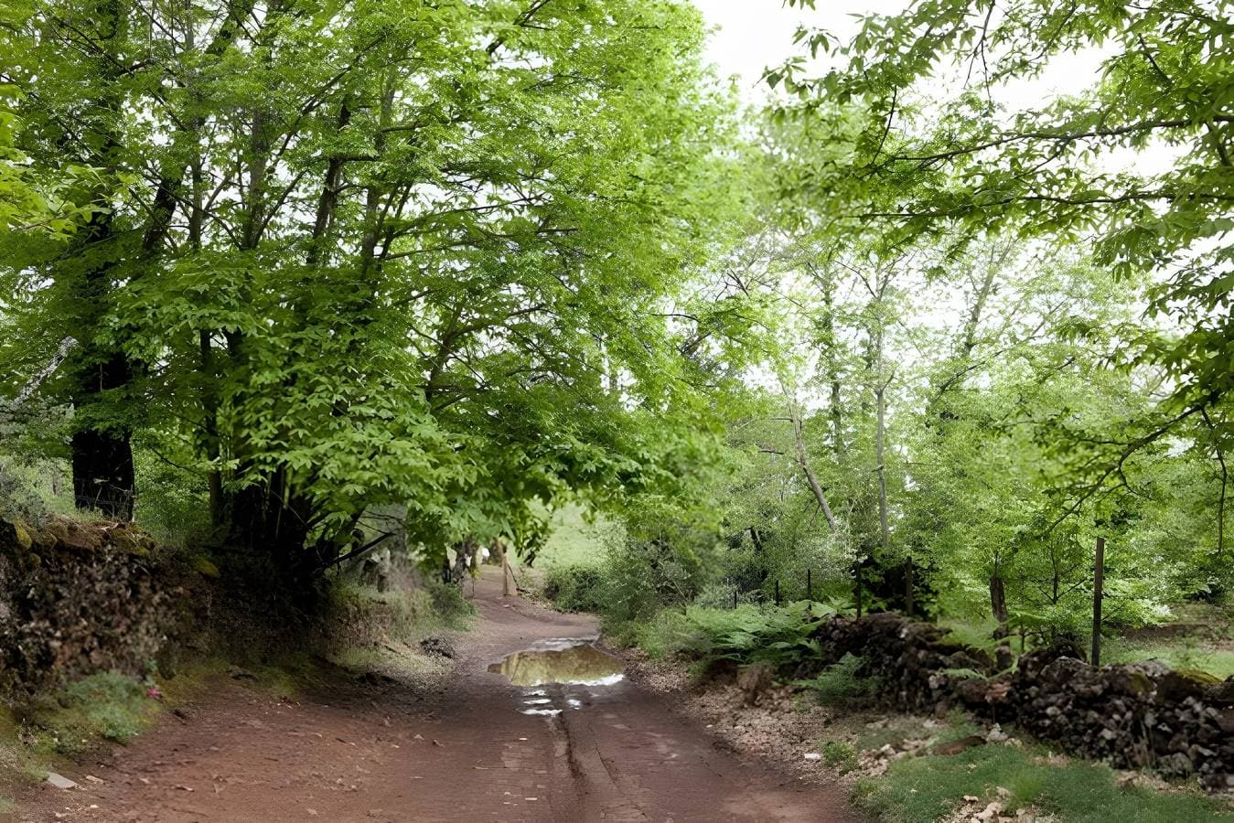 Foto 4 von 23: Casa Correcaminos 2 – Ländliche Unterkunft im Naturpark