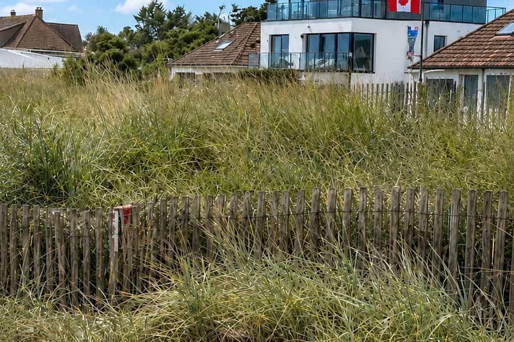 Foto 10 von 22: 180°-Meerblick • Alles bequem zu Fuß • D-Day-Strände