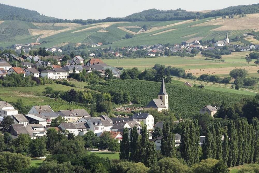Foto 10 von 14: Ferienwohnung Secco - Weingut-Ferienwohnungen Lorenz - nur Urlaubsgäste