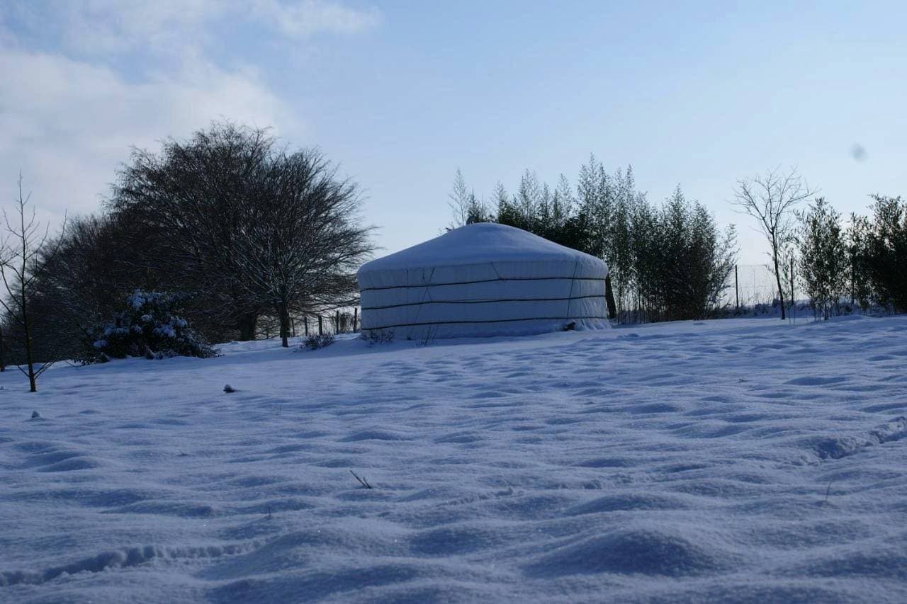Foto 5 von 5: Tent
