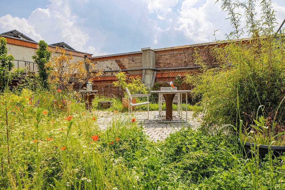 Foto 12 von 13: Turmfalke - Alte Schlossbrauerei Ferienwohnungen