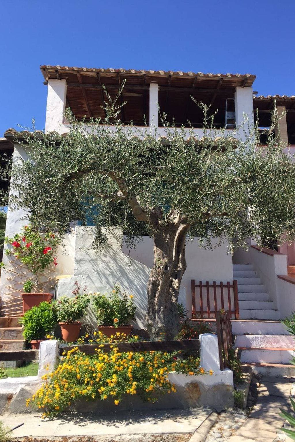 Foto 4 von 23: Arcaidu Apartment mit bezaubernder Aussicht