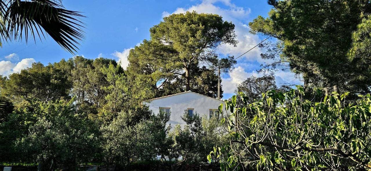 Bastidon du camp de jeanne 1