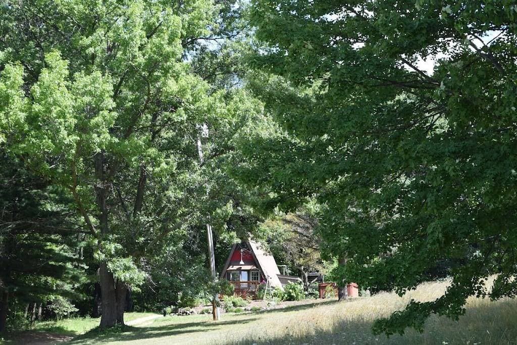 Foto 8 von 17: Horses|Hot Tub|Fire Pit|Hiking|Tiny Home