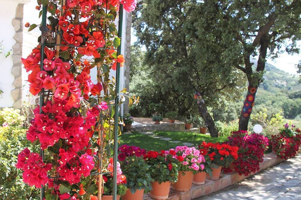 Foto 5 von 30: Kleines Paradies mit großem bewaldetem Garten für Naturliebhaber