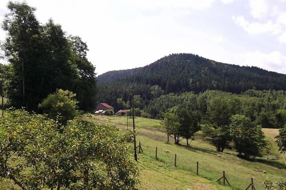 Foto 9 von 12: 2 * gîte umgeben von Natur, Waldblick, für 4 Personen