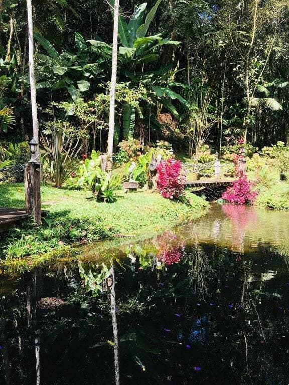 Foto 5 von 36: Haus-Chalet in Santo Antonio do Pinhal