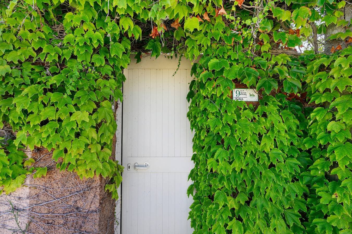 Villa Ondina 1 Carloforte 1