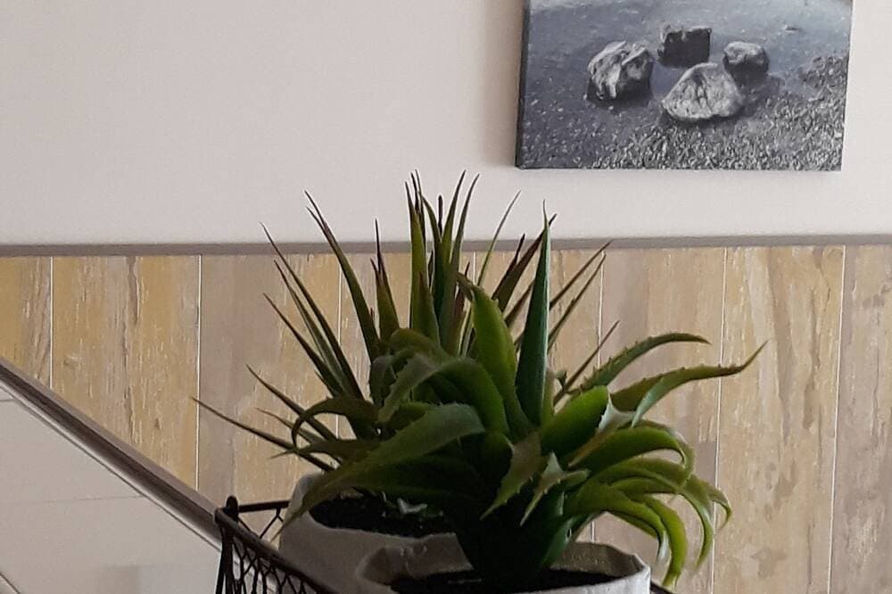 Foto 13 von 30: Unvergesslicher Aufenthalt.