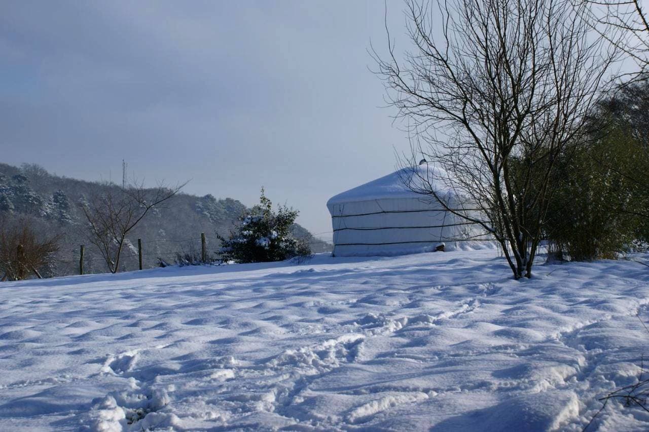Foto 4 von 5: Tent