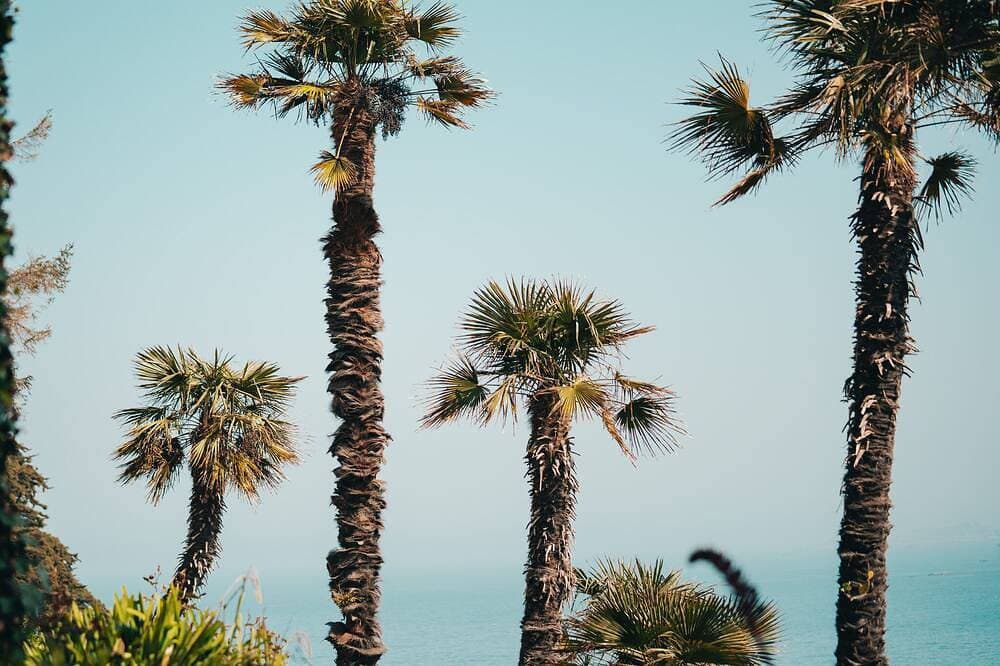 Vue mer Exceptionnelle. Accès Direct à la Plage et au Sentier des Douaniers 1