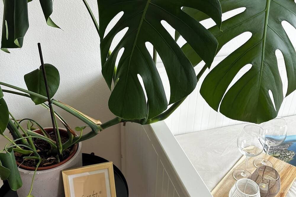 Foto 11 von 11: Ferienwohnung Emilio - Kleine Ferienwohnung mit großartigem See-und Alpenblick