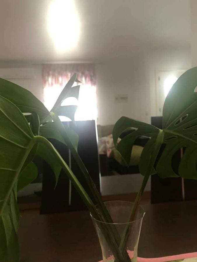 Foto 5 von 41: Three-Bedroom House