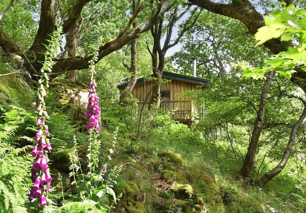 Foto 4 von 29: Cottage für 2 Personen mit Garten