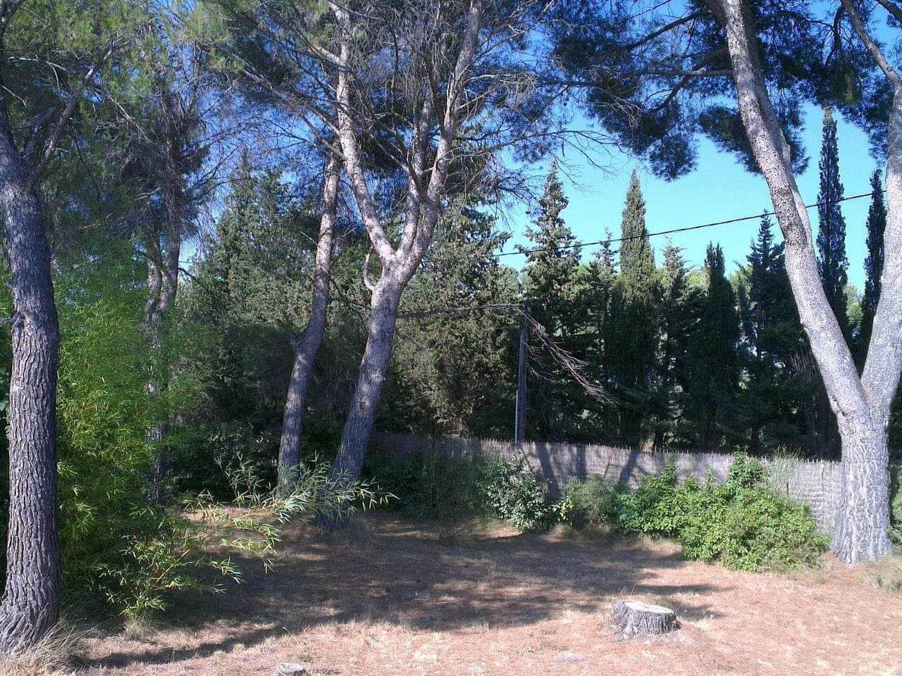 Foto 12 von 49: La petite maison sous les pinins-innenpool
