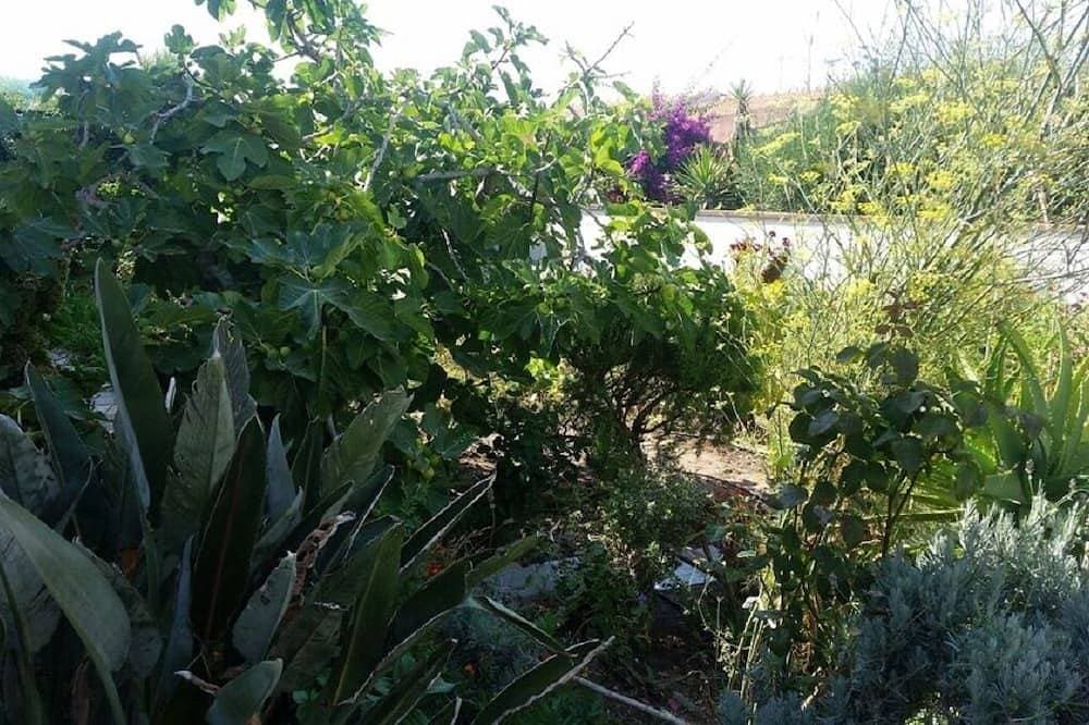 Foto 9 von 25: Villa Maria Drei-Zimmer-Wohnung mit großem Garten in Meeresnähe