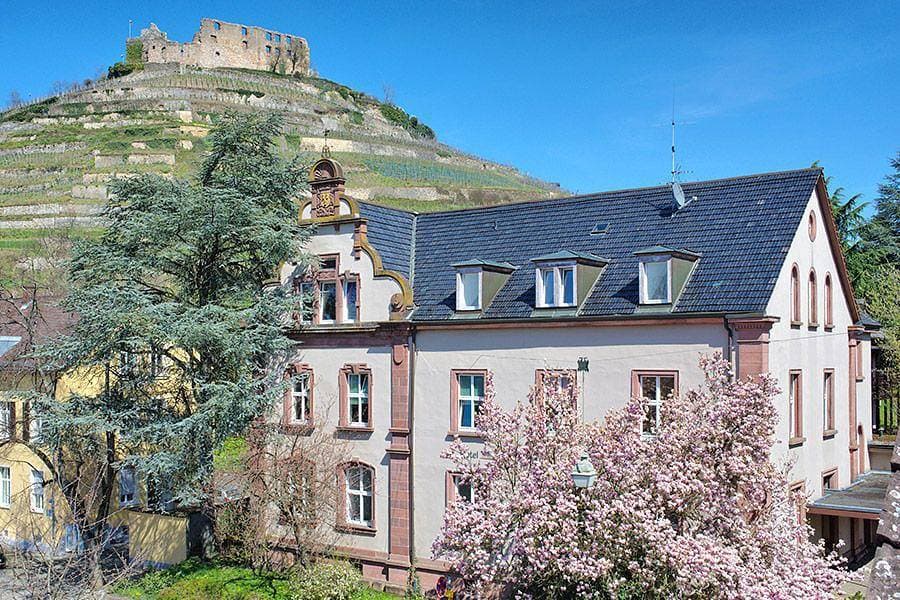 Foto 5 von 6: Goethe Schwarzwald Boutiquehotel - Doppelzimmer Standard