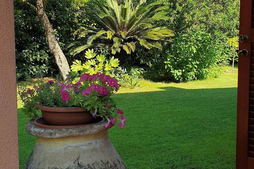 Foto 9 von 19: Very close to the Cinta beach house with large lawn garden.