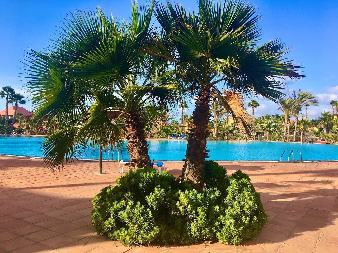 Fuerteventura Apartments Herbania 1