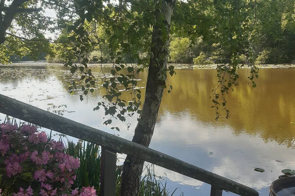 Foto 8 von 29: Chalet am Rande eines Teiches in einem Ort, wo die Natur erhalten ist. Angeln, Kanus
