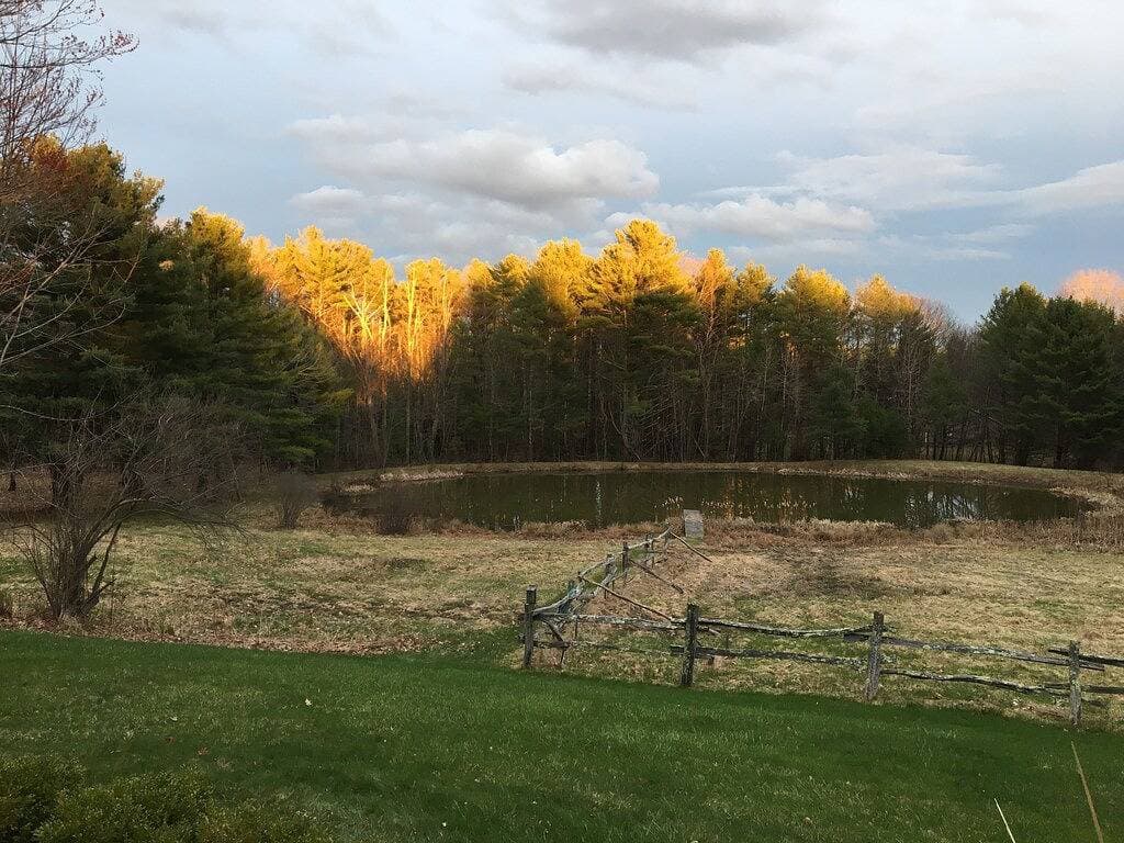 Foto 3 von 17: Enjoy Twin Ponds While Exploring Midcoast Maine