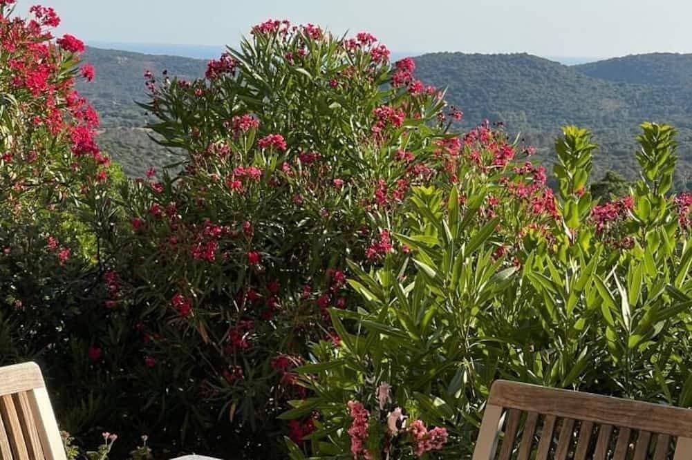 Foto 9 von 18: Swimming pool, comfort and unspoilt surroundings: everything you need to discover the far south is here.
