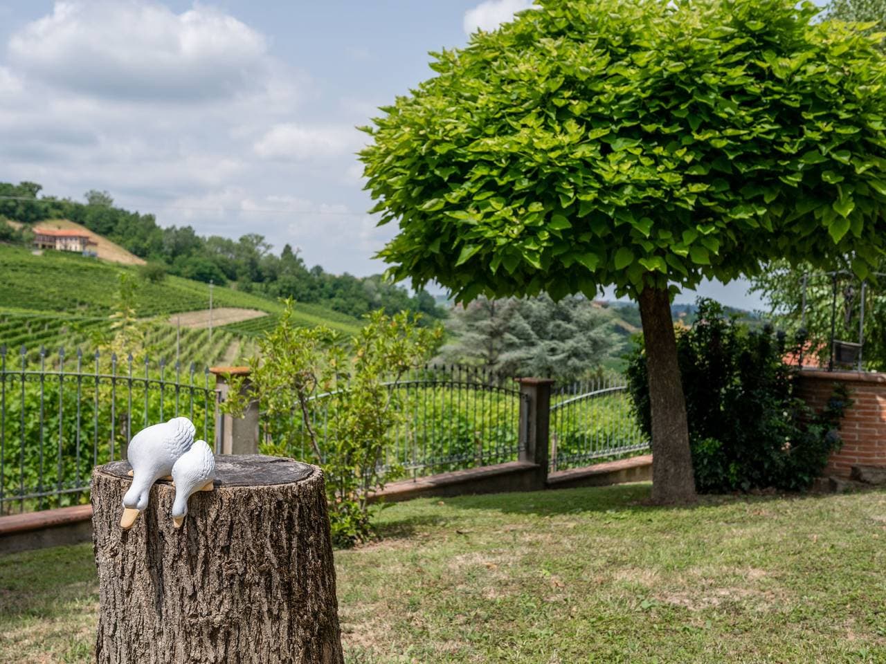 Foto 4 von 26: Culla di Stelle