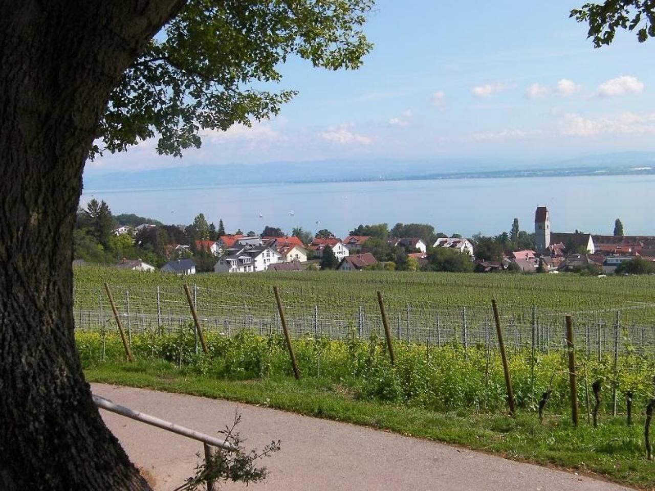 Foto 6 von 28: Ferienwohnung 1 mit Gemeinschaftsgarten, Balkon und WLAN