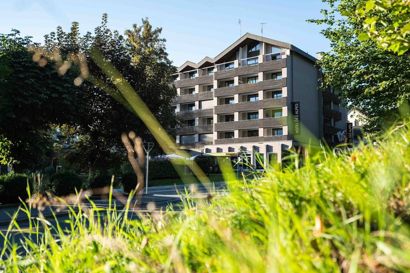 Hotel Des Alpes 1