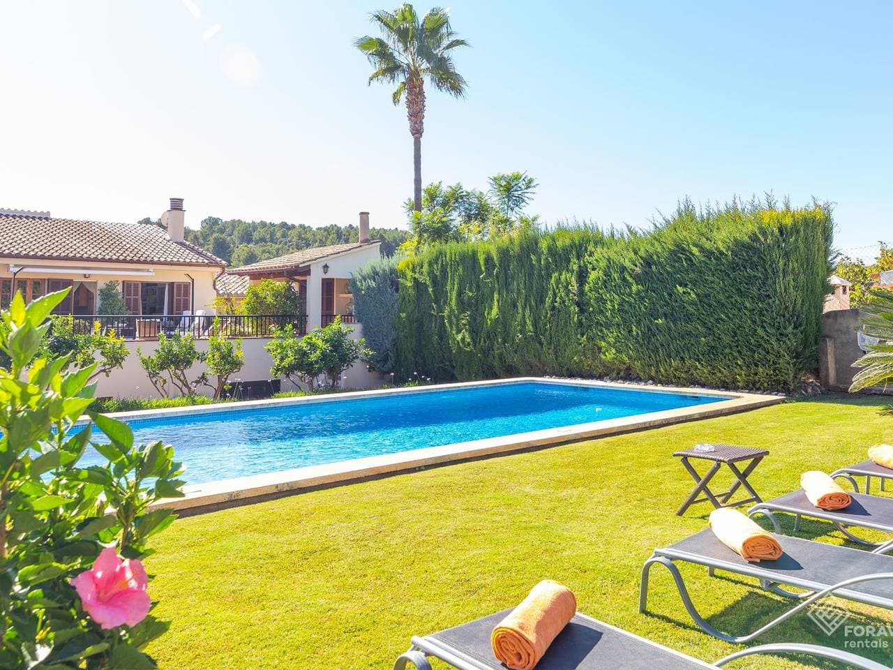 Foto 4 von 46: Schönes mallorquinisches Haus mit privatem Pool in der Serra de Tramuntana.