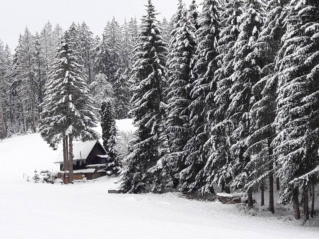 Foto 2 von 36: Ferienhaus 'Mühle-am-Wolfsgrund' mit Bergblick, Privater Terrasse und Privatem Garten