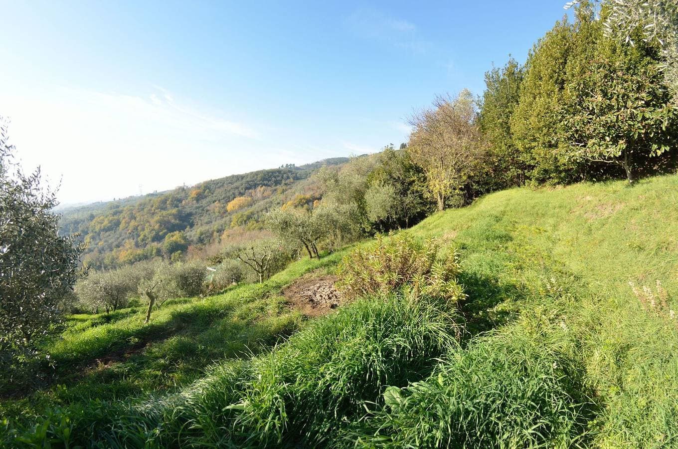Foto 5 von 27: La Cipressa