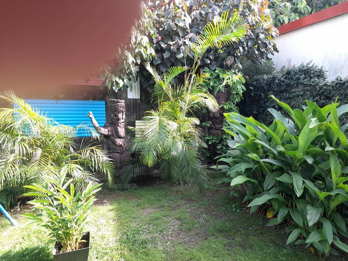 Foto 4 von 7: Double Room with Terrace