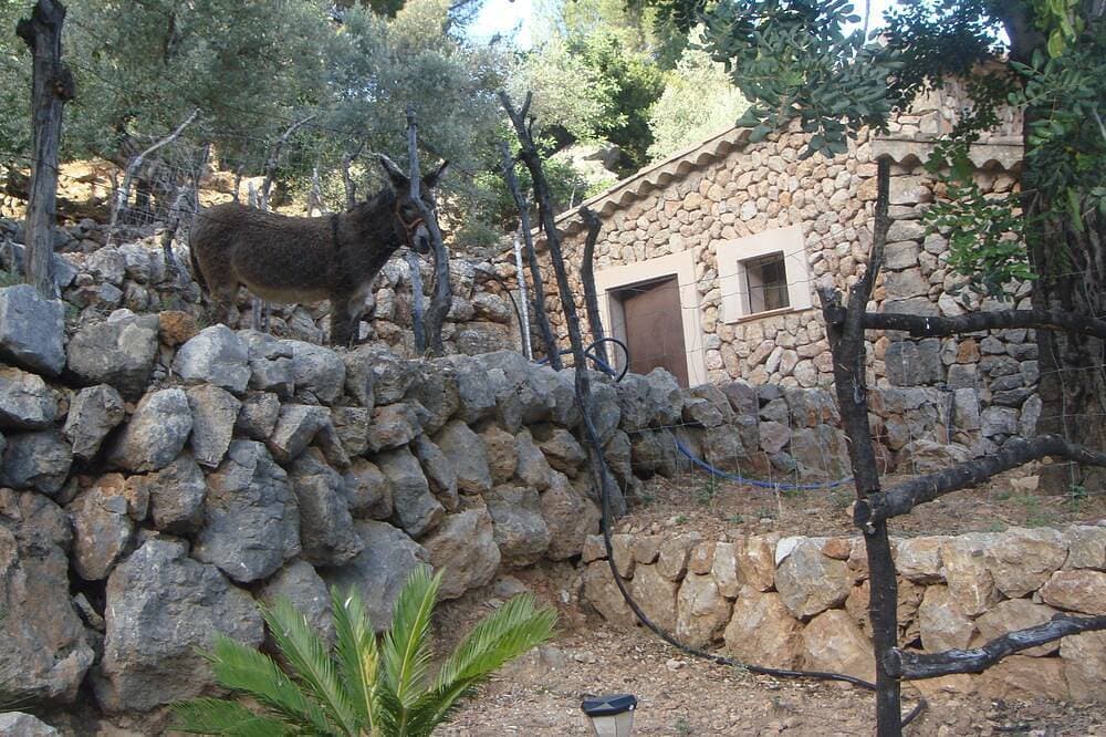 Foto 11 von 30: Berghütte am Meer lädt zum Wandern in der Sierra de Tramuntana 20% Rabatt März