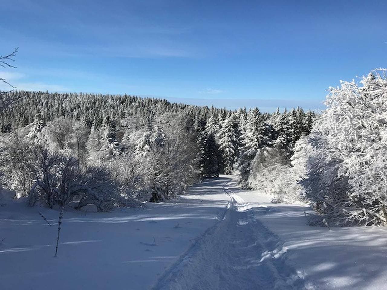 Foto 12 von 16: La Bourboule - T3-Wohnung mit Terrasse, nahe Zentrum, 5 Personen